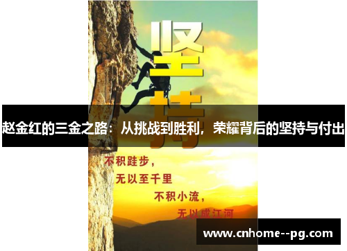 赵金红的三金之路:从挑战到胜利,荣耀背后的坚持与付出 赵金红的三金之路:从挑战到胜利,荣耀背后的坚持与付出