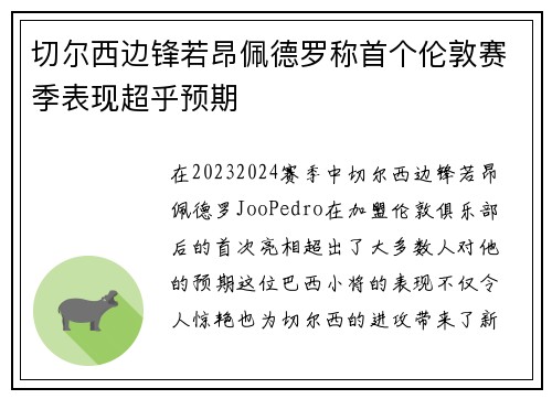 切尔西边锋若昂佩德罗称首个伦敦赛季表现超乎预期